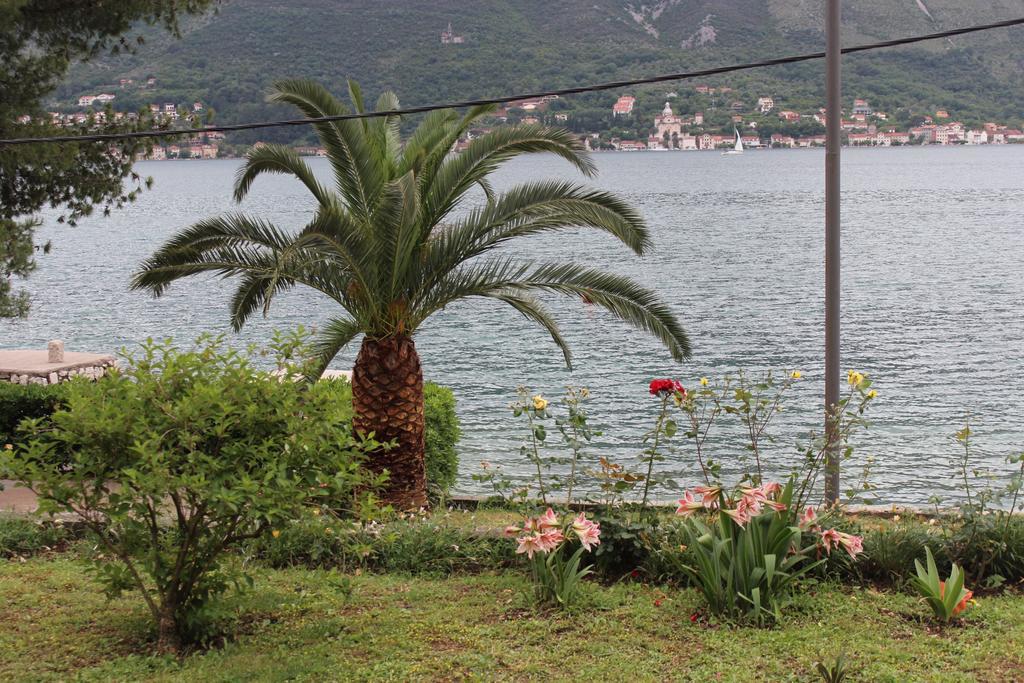 Apartments Miramar Kotor Exteriör bild