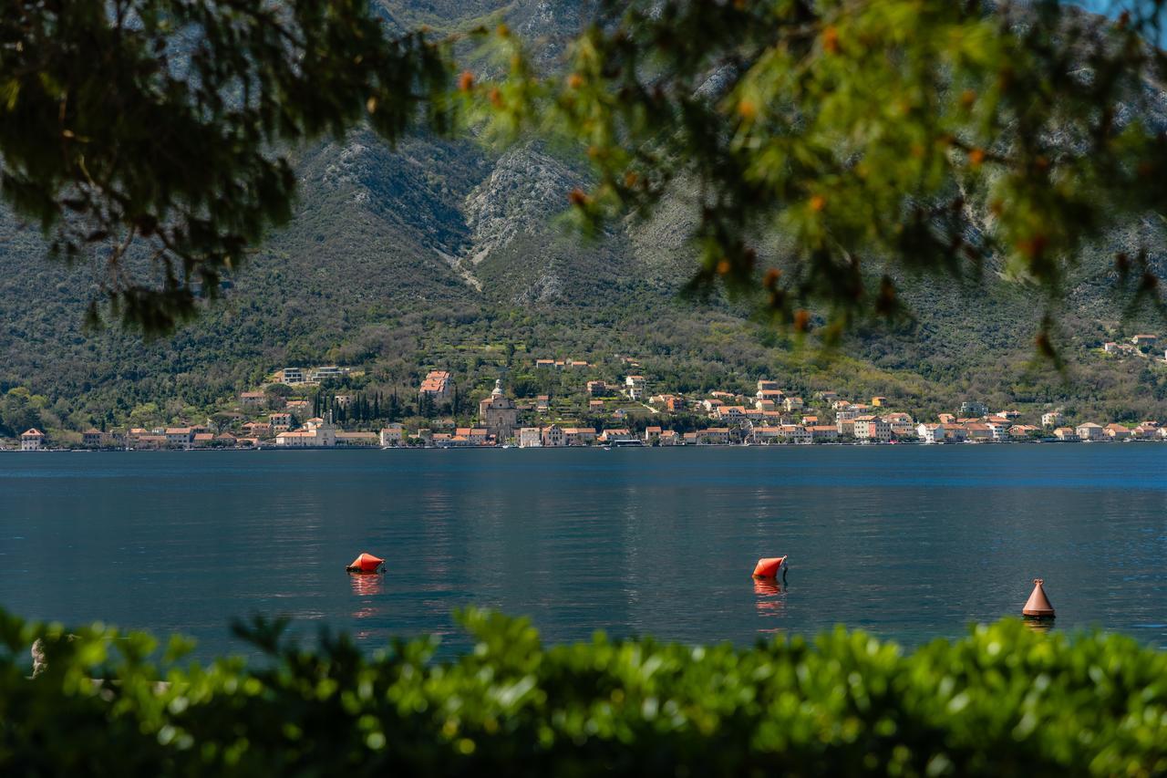 Apartments Miramar Kotor Exteriör bild