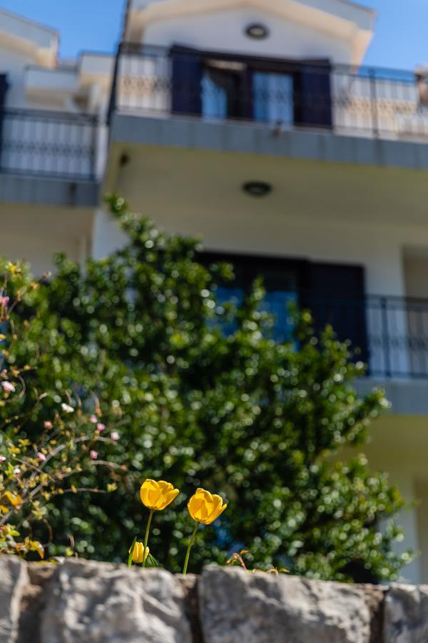 Apartments Miramar Kotor Exteriör bild
